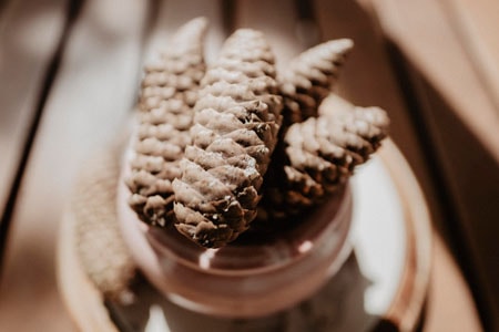 gite vacances lot et garonne